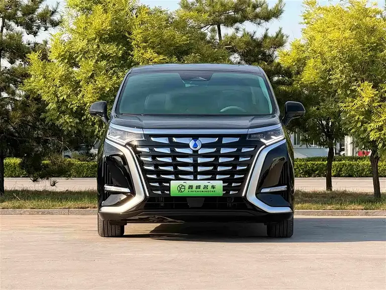 Denza D9 DM-i 980 4 WD Honored