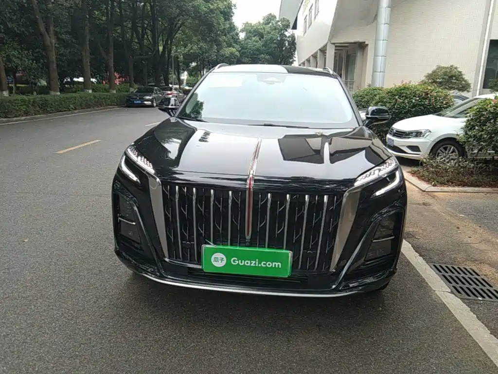Hongqi HS3 PHEV 115 km Power Action