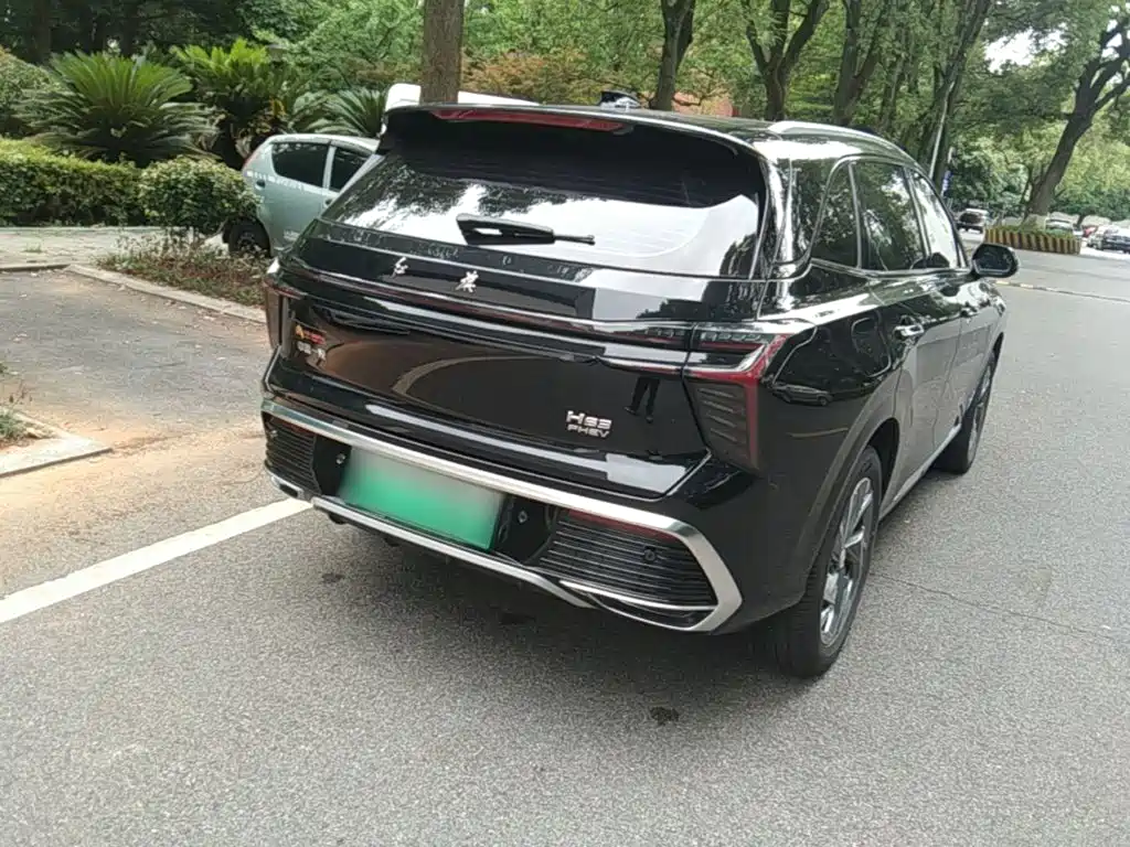 Hongqi HS3 PHEV 115 km Power Action