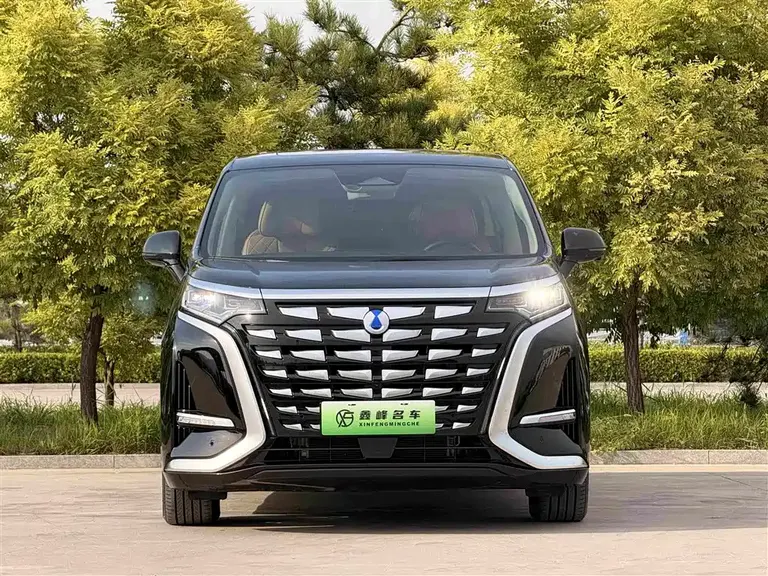 Denza D9 DM-i 980 4 WD Honored