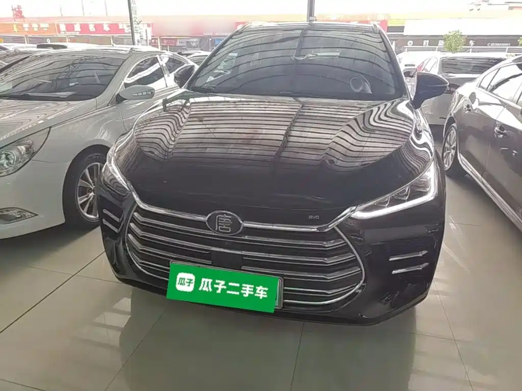 Tang NEV DM 2.0 T Full-time 4 WD Connected Pioneer Leading 7-seat CN-V