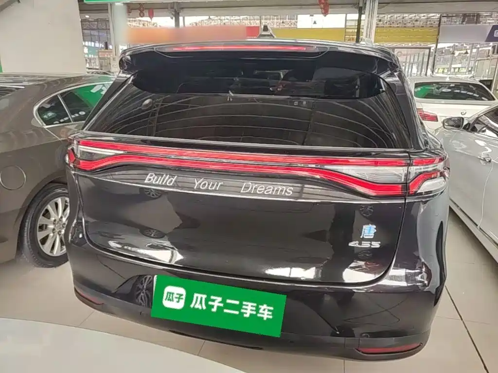Tang NEV DM 2.0 T Full-time 4 WD Connected Pioneer Leading 7-seat CN-V
