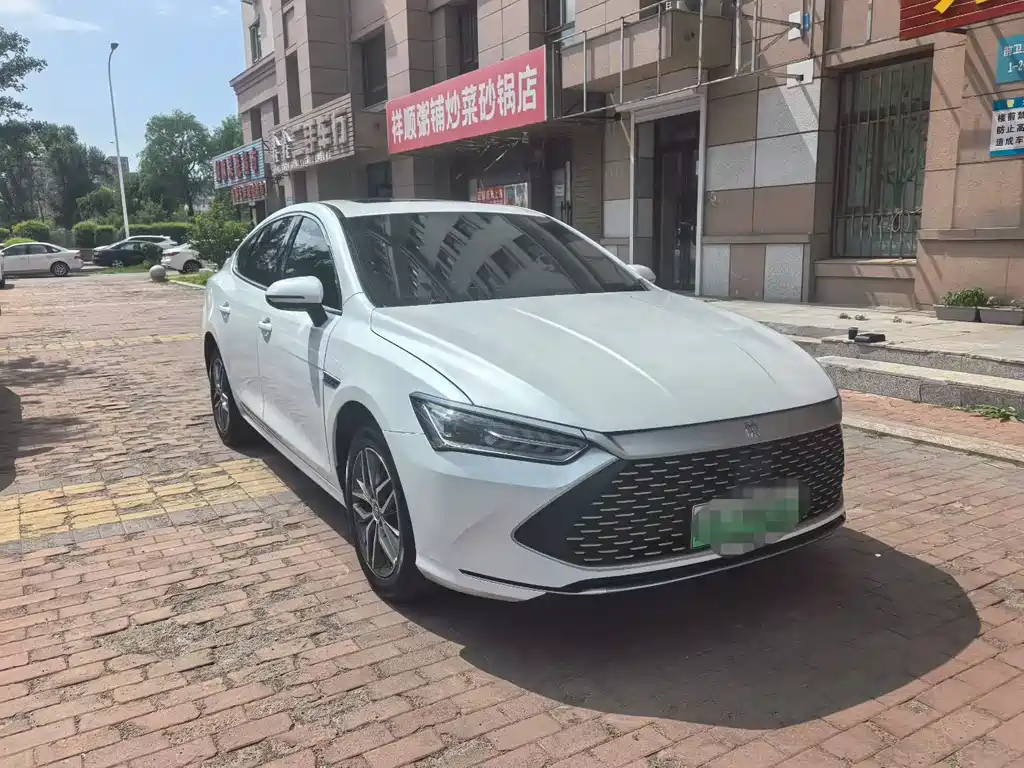 Qin PLUS Champion DM-i 120 KM Transcend