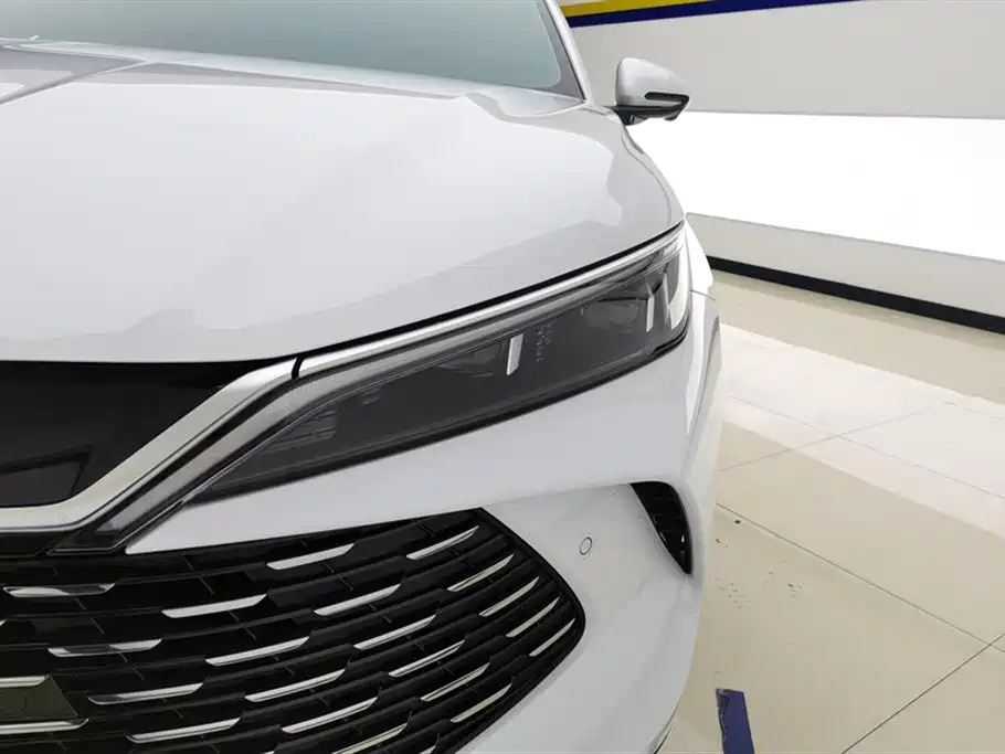 Qin L DM-i Smart Drive 80 KM Leading