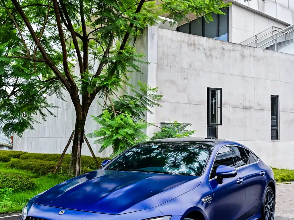 AMG GT AMG GT 50 4-door Coupe