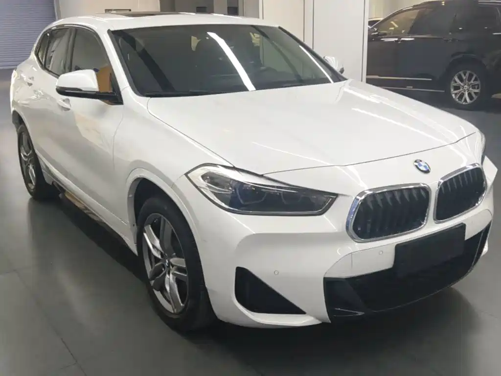 BMW X2 sDrive25 i M Sport Package