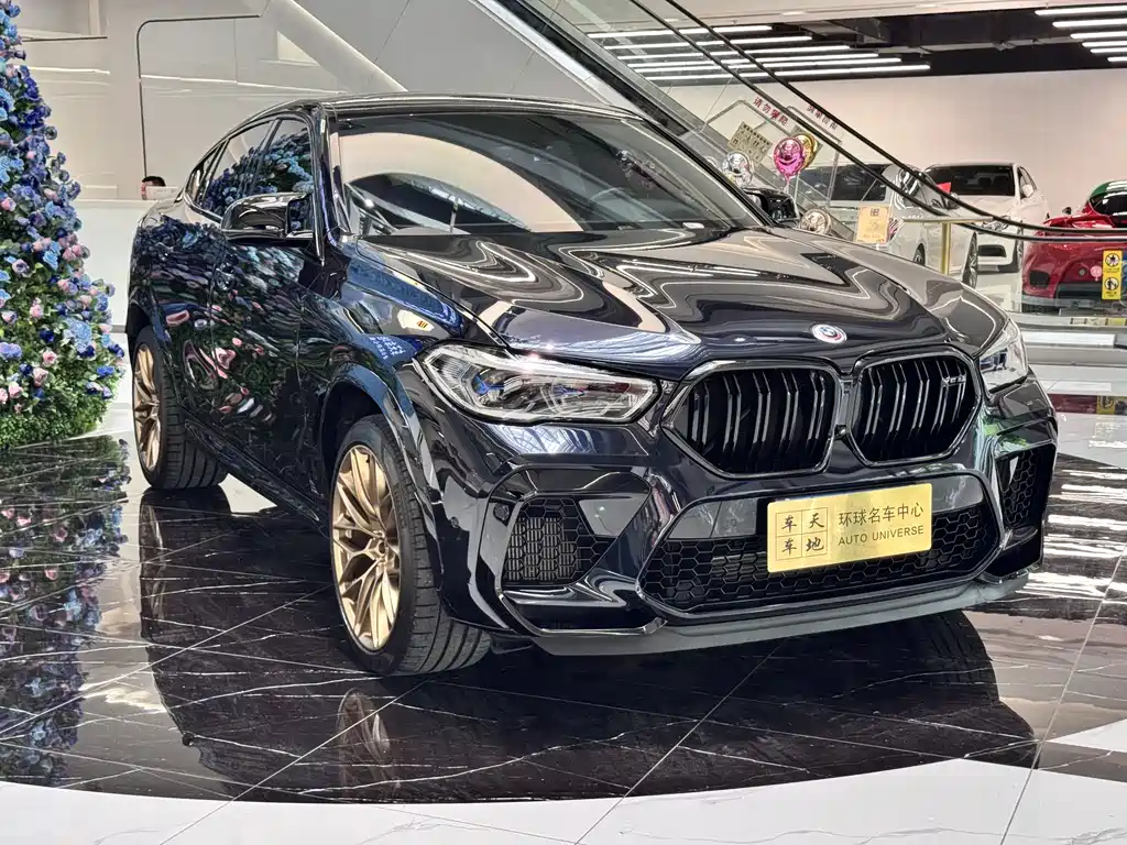 BMW X6 M
