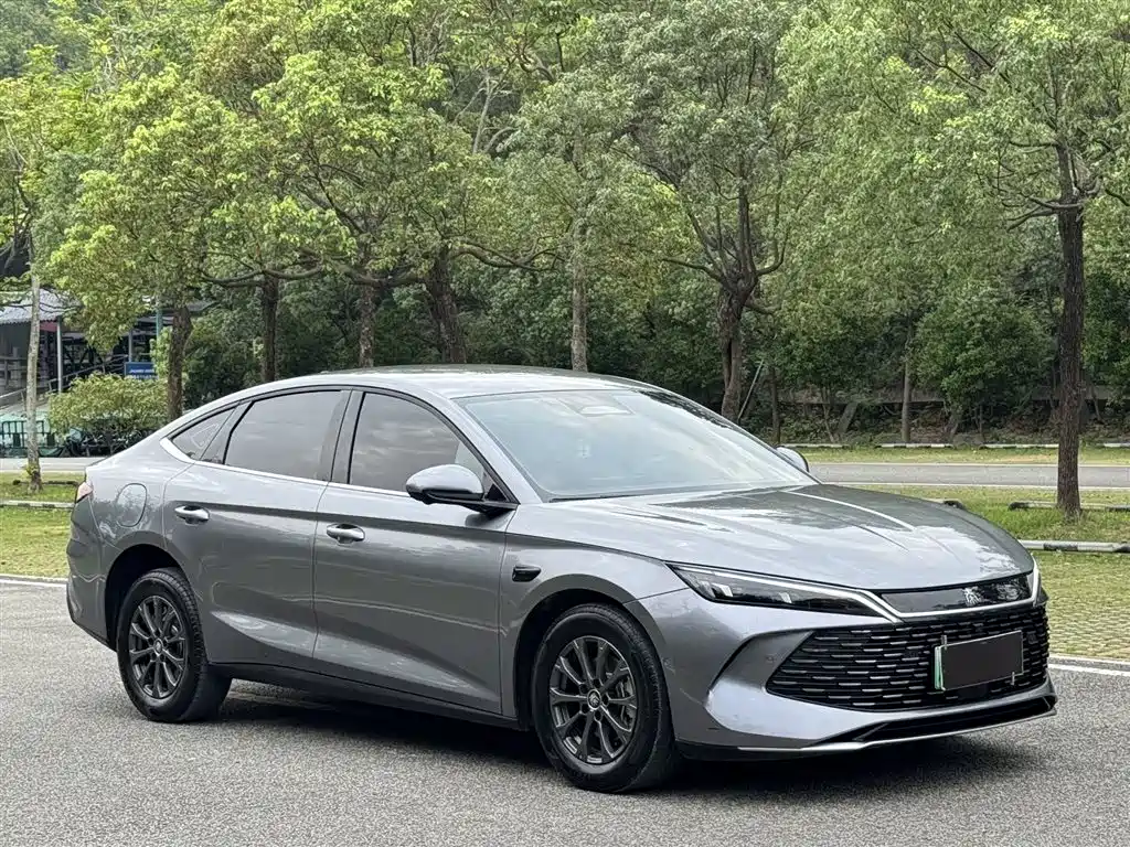 Qin L DM-i Smart Drive 80 KM Leading