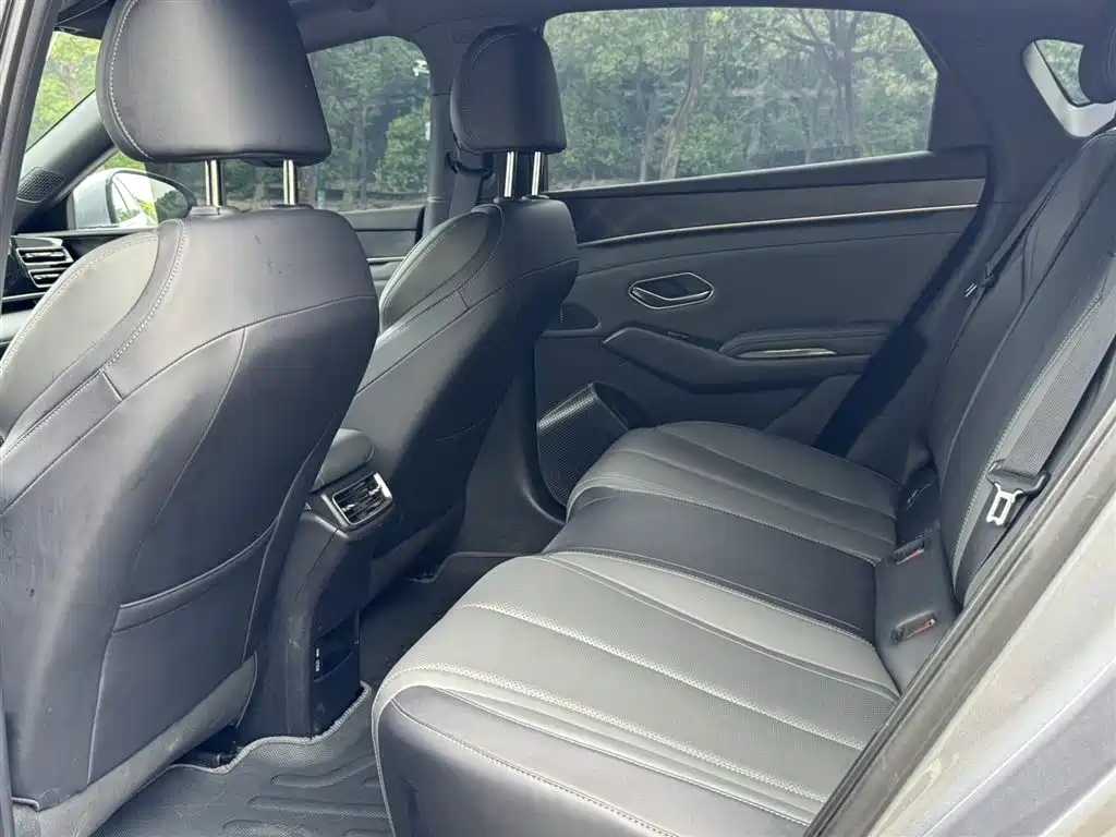 Qin L DM-i Smart Drive 80 KM Leading