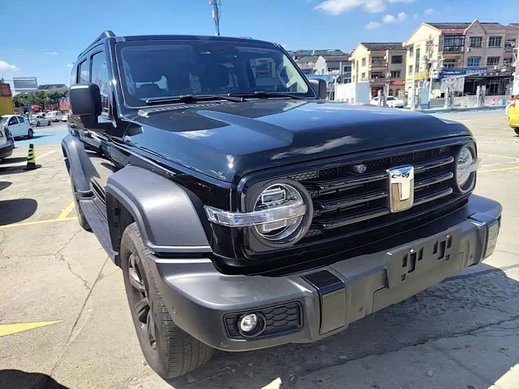 Tank 300 2.0 T Gasoline Conqueror