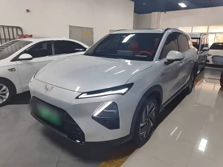 Wuling Starlight S 130 km High Power Flagship