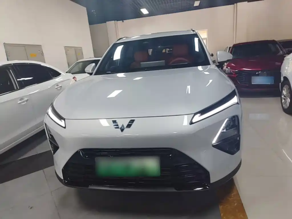 Wuling Starlight S 130 km High Power Flagship