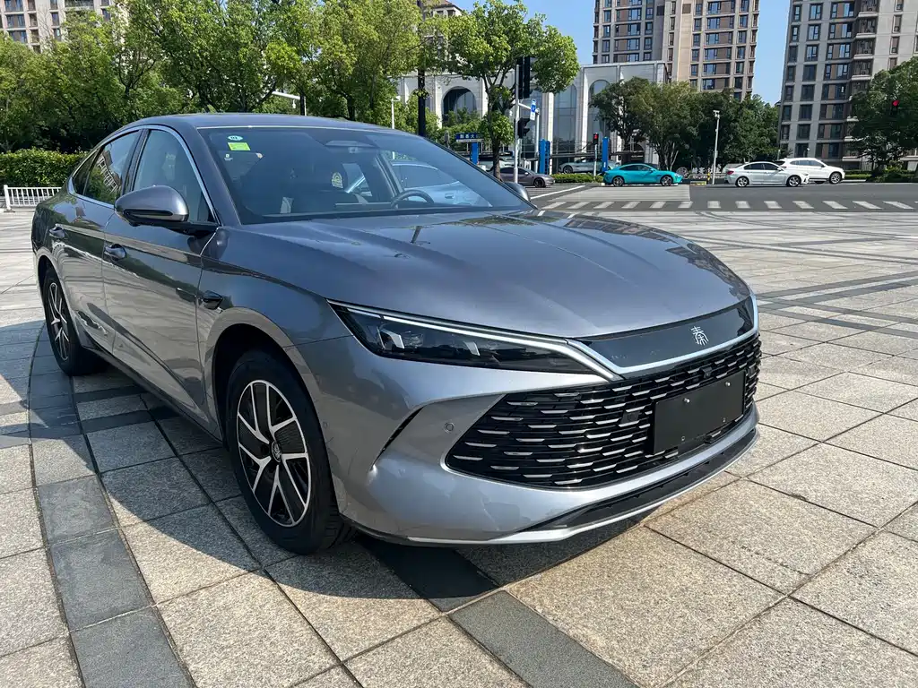 Qin L DM-i Smart Drive 120 KM Transcend