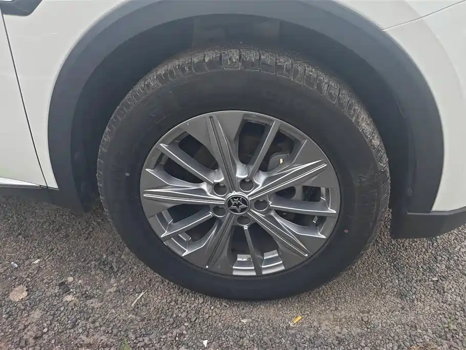 Venucia Star 260 T Auto 48 V Mild Hybrid Turbo Star Enjoyment