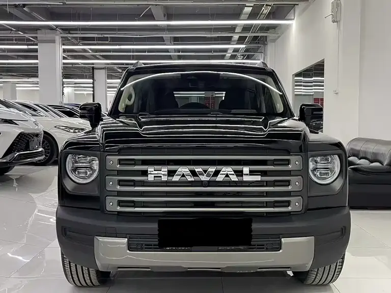 Haval Menglong NEV Hi4 145 Cross