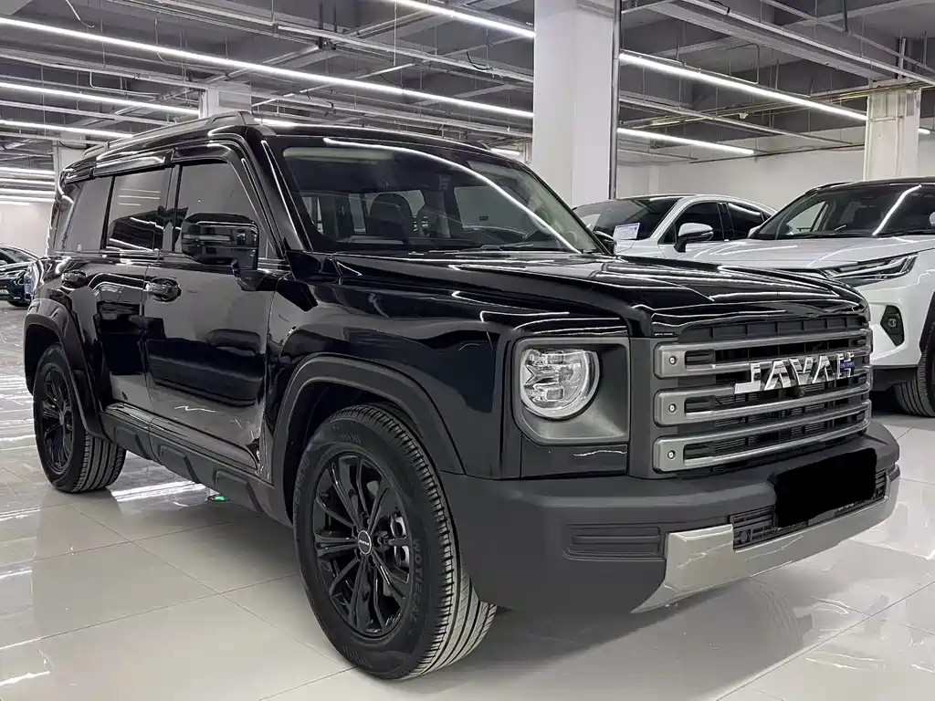 Haval Menglong NEV Hi4 145 Cross