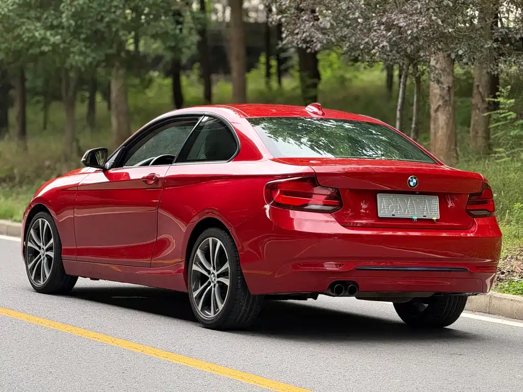 BMW 2 Series (Import) 225 i Sport Design Package