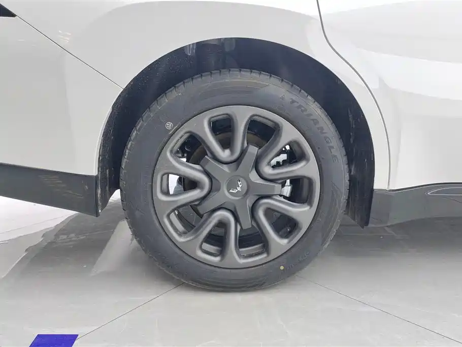 Wuling Starlight 70 km Intelligent Standard