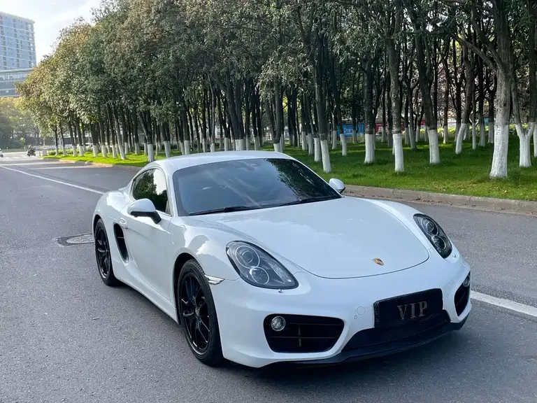 Porsche Cayman Cayman 2.7 L
