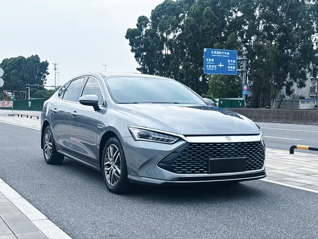 Qin PLUS DM-i 55 KM Flagship