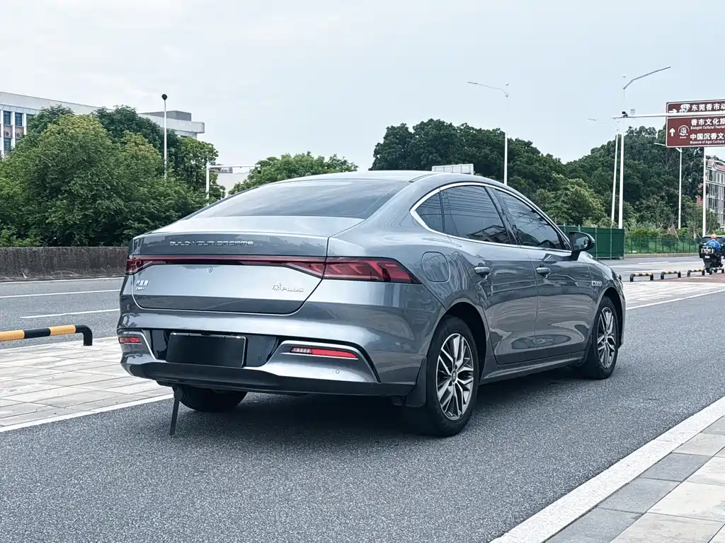 Qin PLUS DM-i 55 KM Flagship