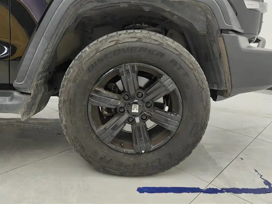 Tank 300 Offroad 2.0 T Conqueror