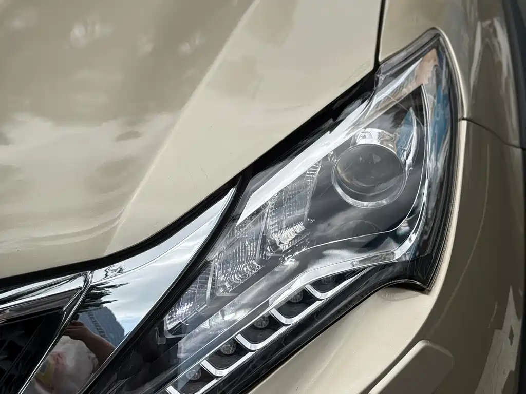 Tang NEV 2.0 T 4 WD Distinguished
