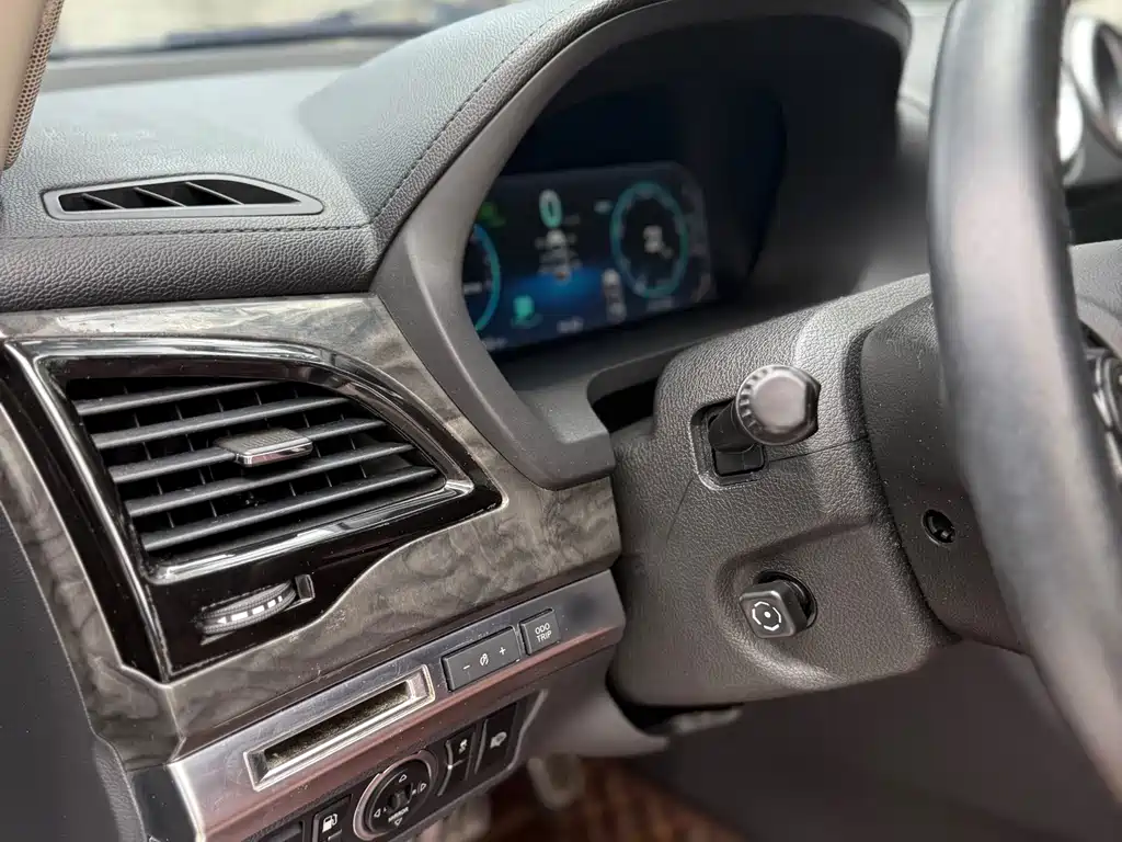 Tang NEV 2.0 T 4 WD Distinguished