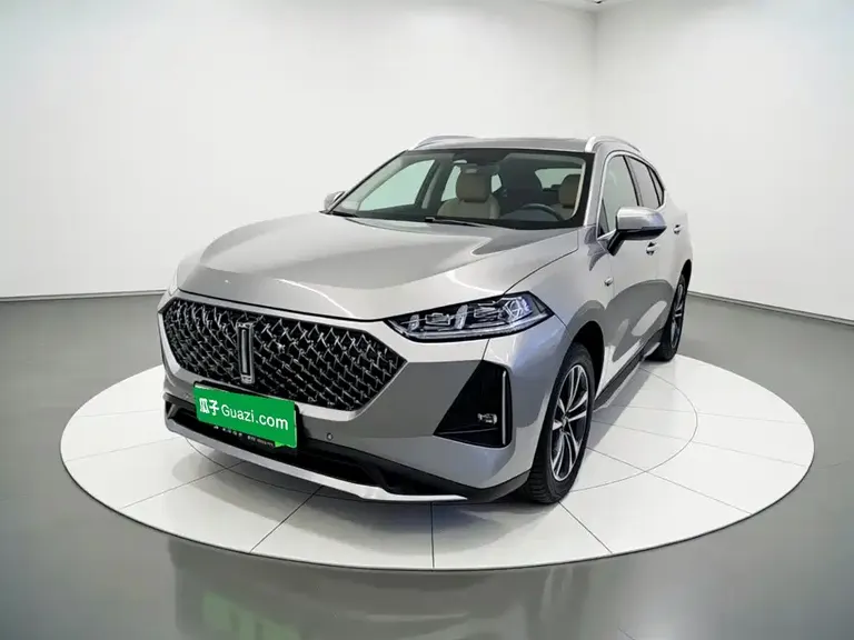 WEY 玛奇朵DHT-PHEV 玛奇朵DHT-PHEV 2021款 1.5 L 大师版
