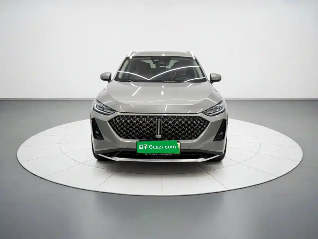 玛奇朵DHT-PHEV 玛奇朵DHT-PHEV 2021款 1.5 L 大师版