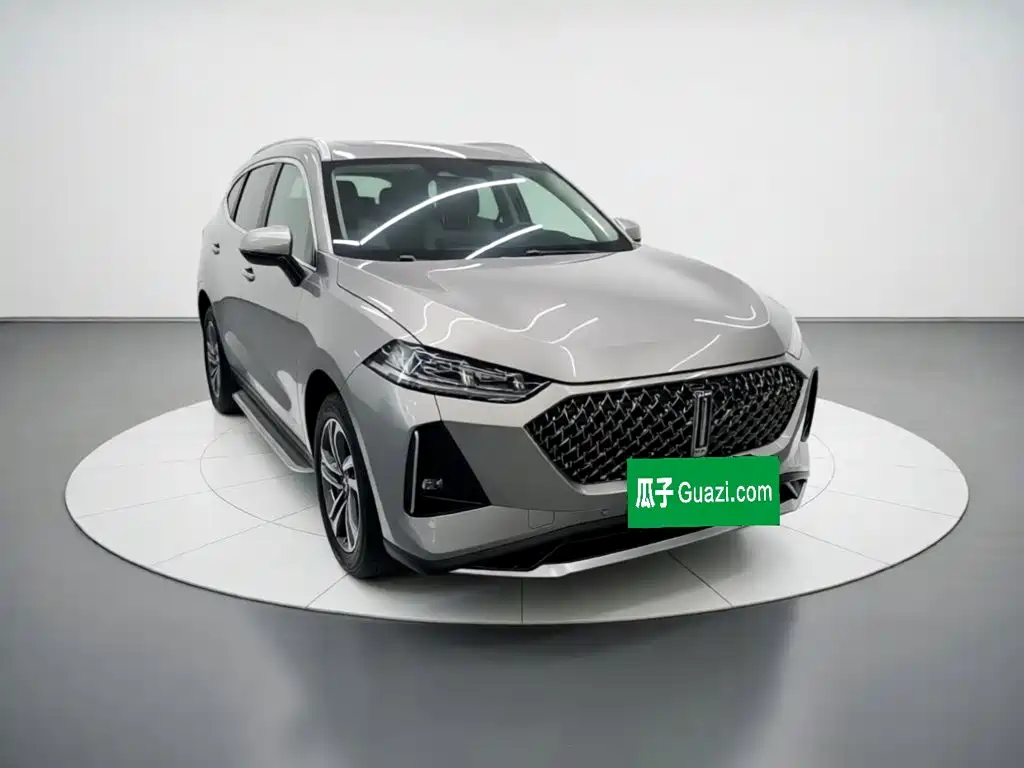 玛奇朵DHT-PHEV 玛奇朵DHT-PHEV 2021款 1.5 L 大师版