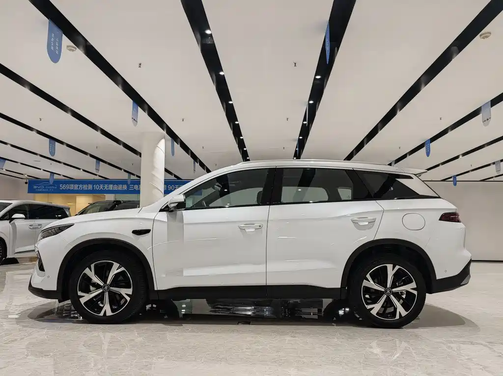 Song Pro NEV 2 nd Gen Smart Drive DM-i 115 KM Outstanding