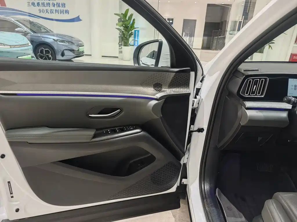 Song Pro NEV 2 nd Gen Smart Drive DM-i 115 KM Outstanding