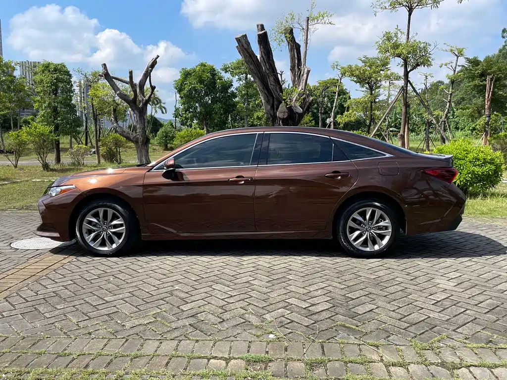 Avalon 2.5 L Progressive CN-V