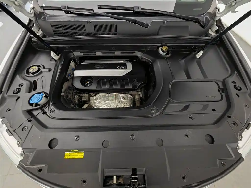 Boyue 2.0 L Manual Connected