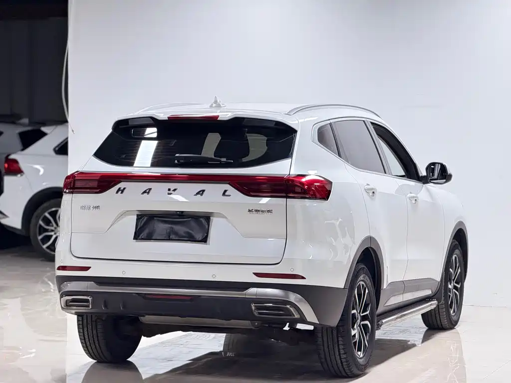 Haval H6 China Style 1.5 T Auto Urban
