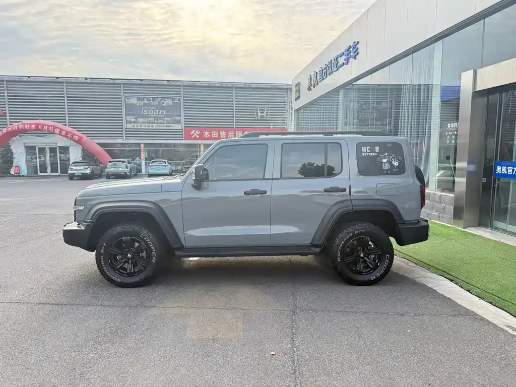 Tank 300 Offroad 2.0 T Conqueror