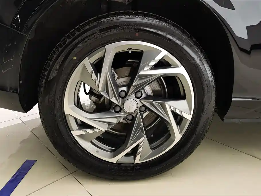 Hongqi HS3 PHEV 115 km Power Action