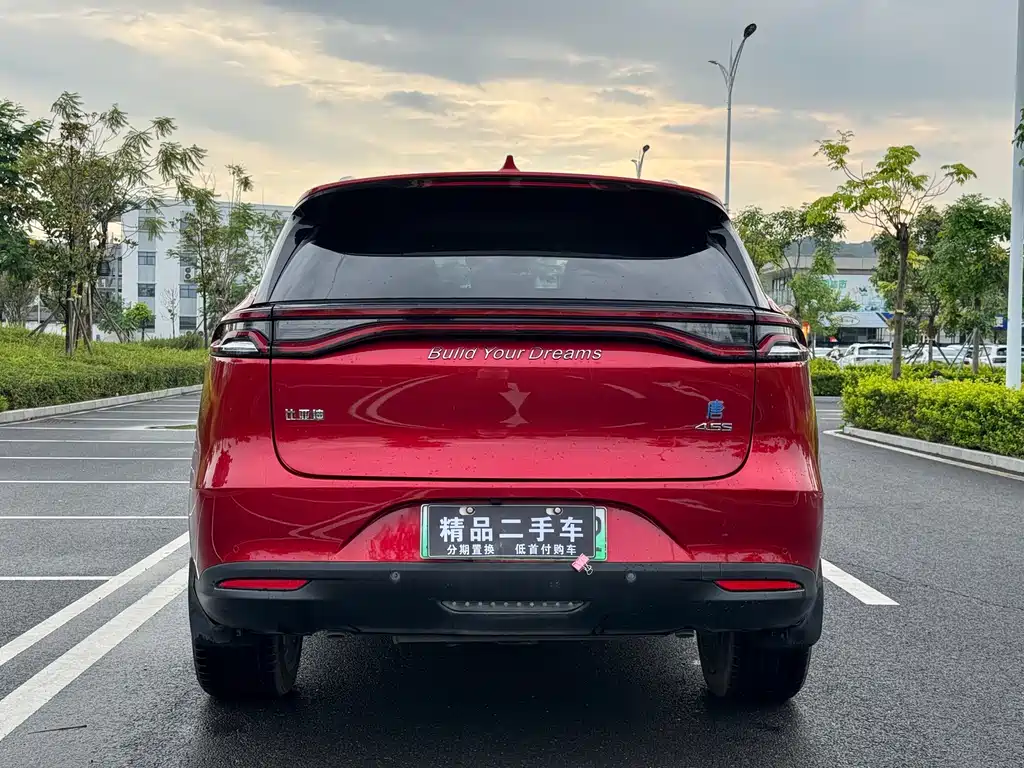 Tang NEV DM 2.0 T Full-time 4 WD Connected Pioneer Leading 7-seat CN-VI
