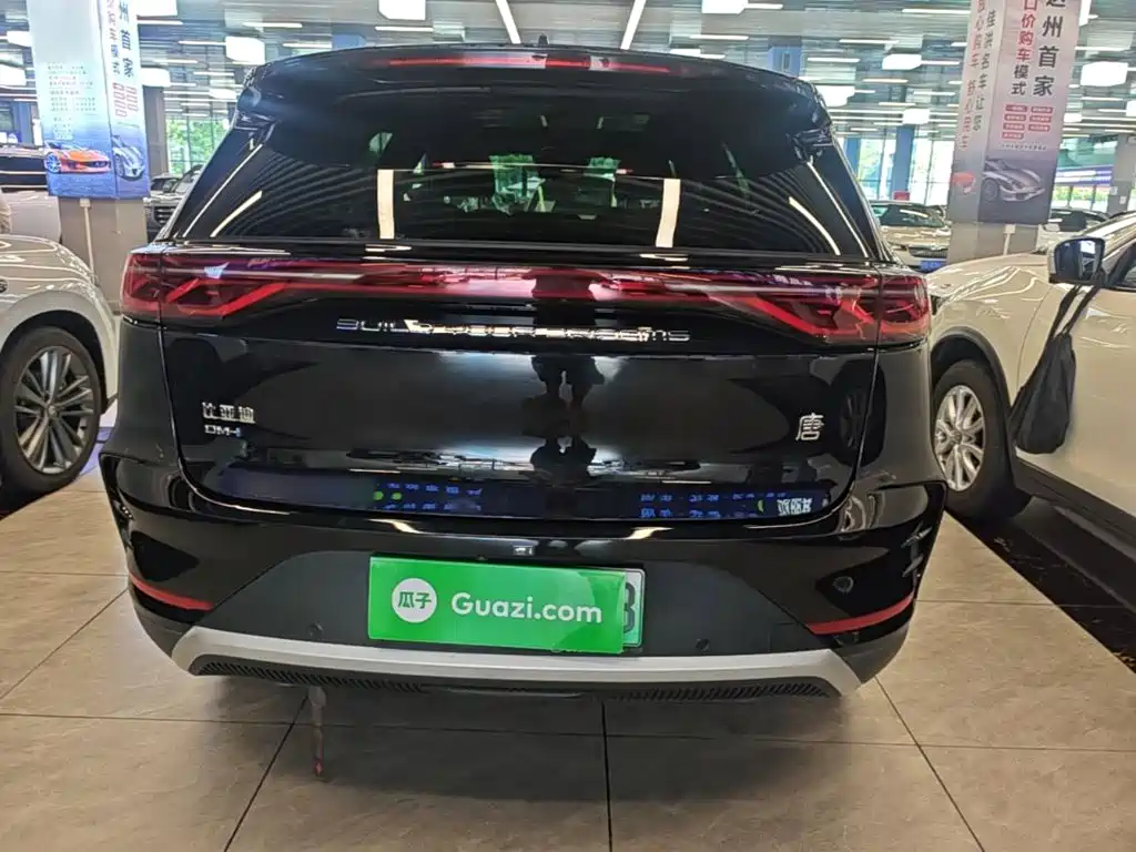 Tang NEV DM-i 115 KM Distinguished