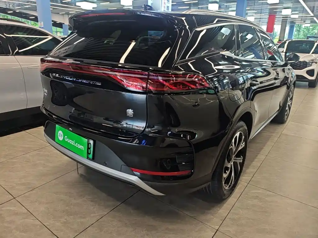 Tang NEV DM-i 115 KM Distinguished