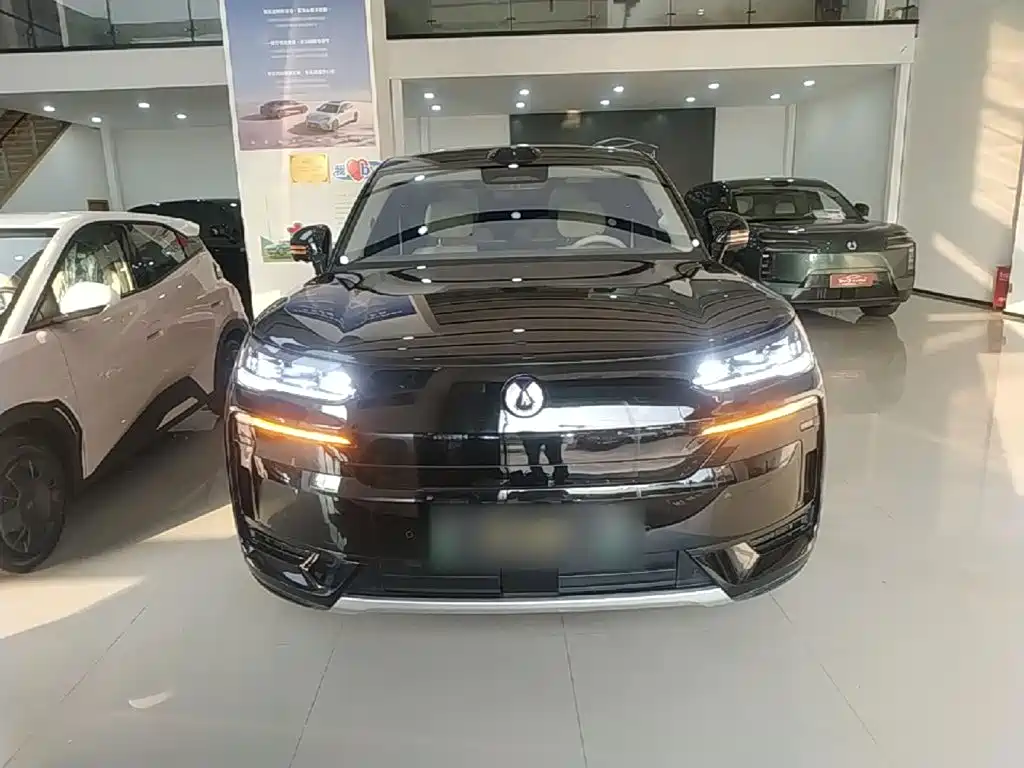 Denza N9 Flagship