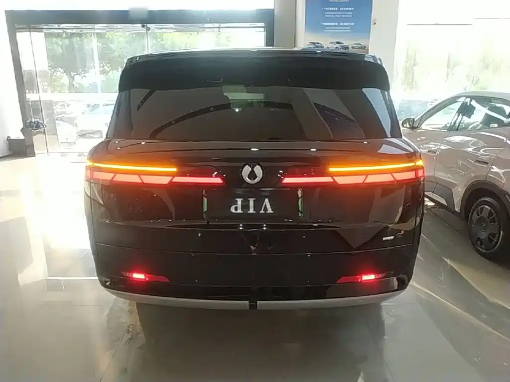 Denza N9 Flagship