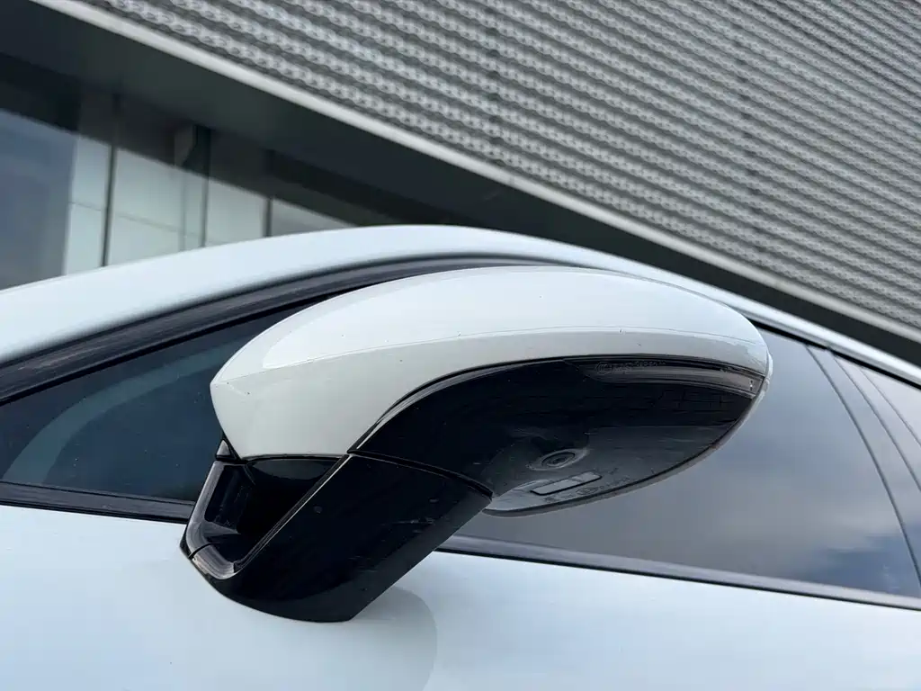 Panamera Panamera 2.9 T Platinum