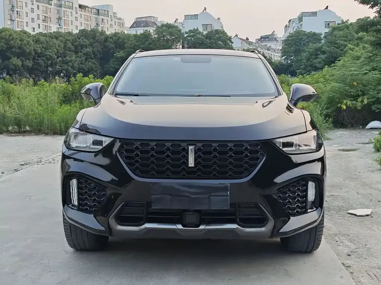 WEY VV5 2.0 T Super Luxury