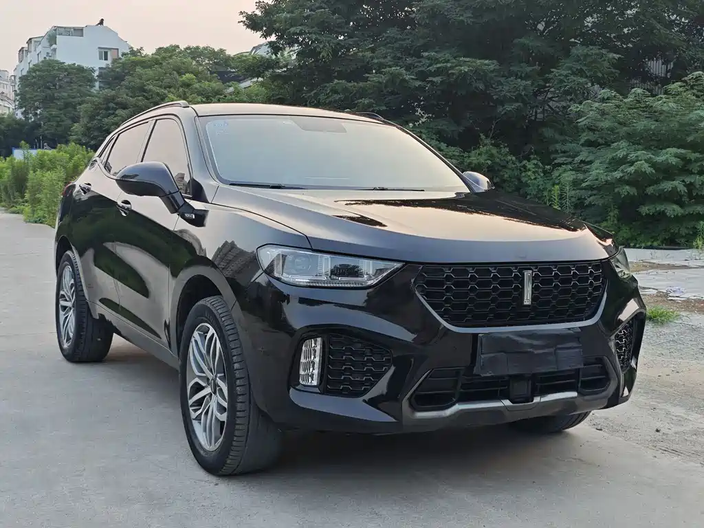 WEY VV5 2.0 T Super Luxury