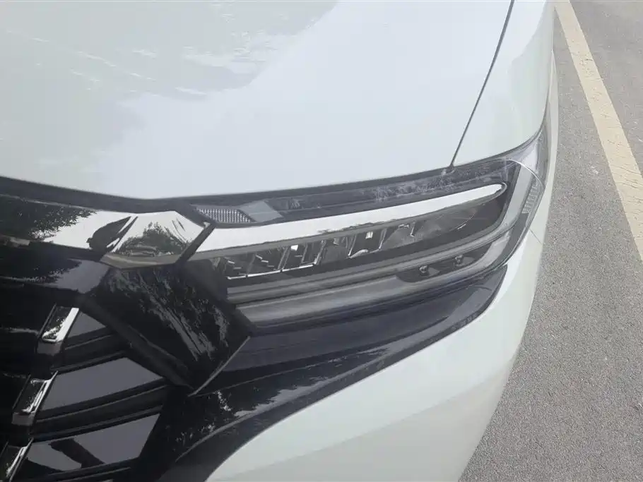 Elysion 2.0 L e:HEV Luxury Early Enjoyment