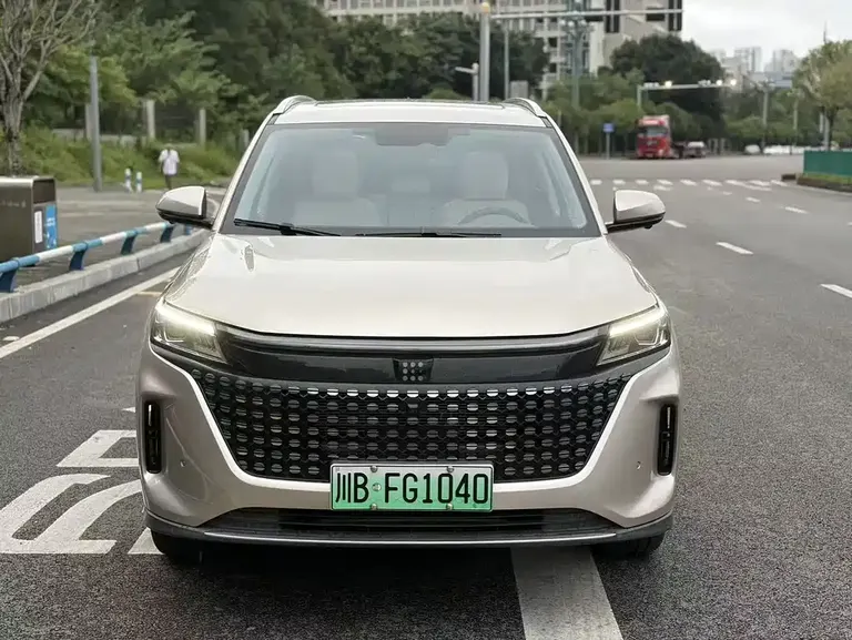 Landian E5 蓝电E5 2023款 1.5 L DE-i 110 KM旗舰型 7座