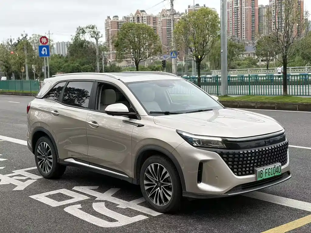 Landian E5 蓝电E5 2023款 1.5 L DE-i 110 KM旗舰型 7座