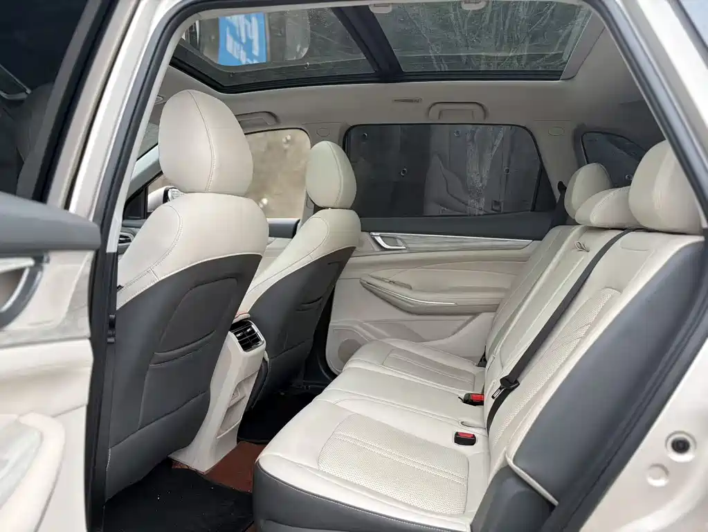 Landian E5 蓝电E5 2023款 1.5 L DE-i 110 KM旗舰型 7座